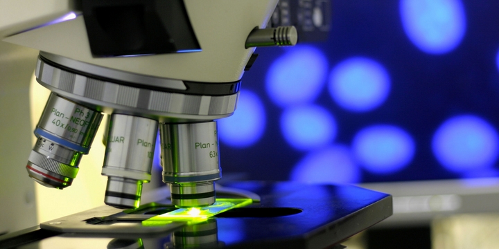 Terza CUltura, Il_Laboratorio e l'Istituto Toscano Tumori
